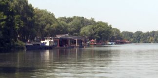 Tiszafüredi Halasnapok – Gasztronómiai és kulturális programokkal várják a Tisza-tóhoz látogatókat